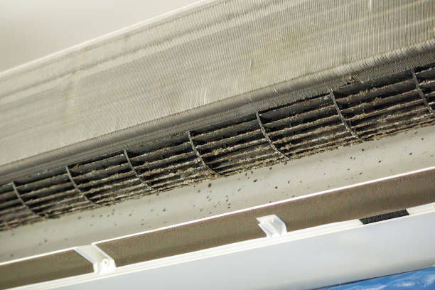 Best Best Air Duct Cleaning Company  in Brandon, SD